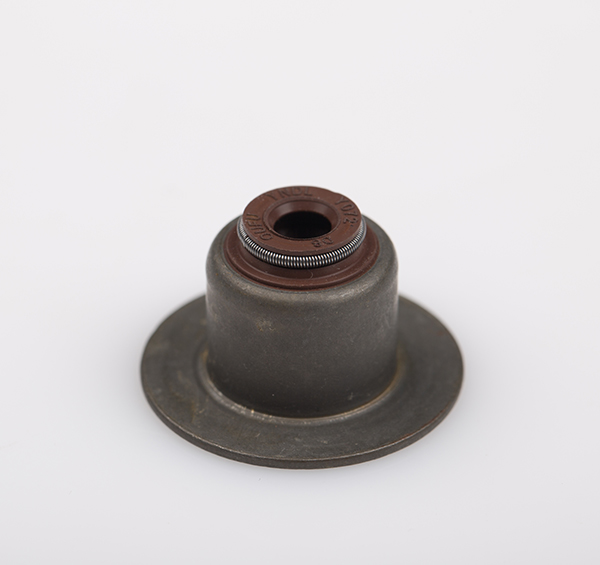 Valve seal